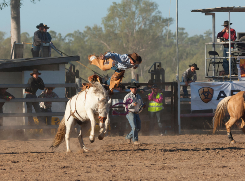 Who’s Riding Who Now? | Alamy Stock Photo by Genevieve Vallee