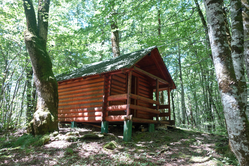 Live In An Outbuilding | Arctic ice/Shutterstock