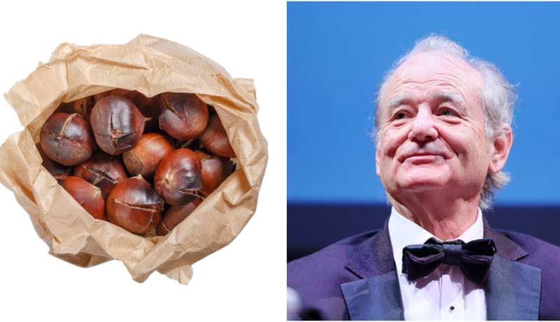 Bill Murray: Chestnut Salesman | Shutterstock & Getty Images Photo by Ernesto S. Ruscio