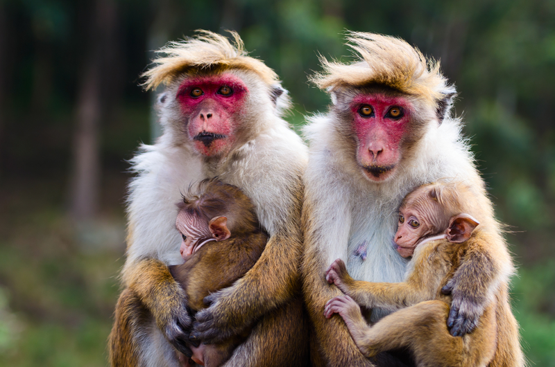 Ready for a Break | Iryna Rasko/Shutterstock