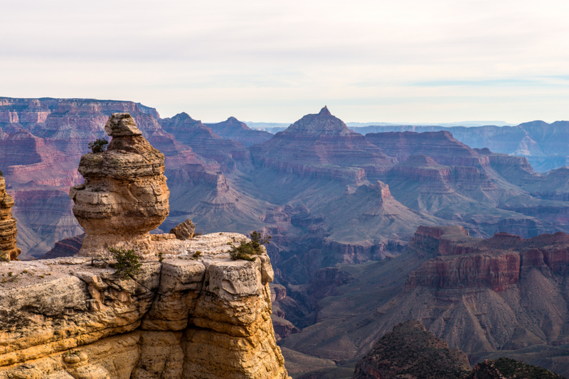 Arizona | Alamy Stock Photo by Susan Viera