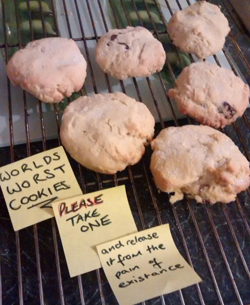 The Worst Cookies Ever | Imgur.com/Hi9PDkF