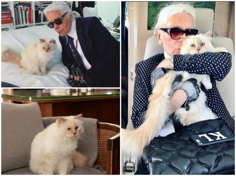 Karl Lagerfeld | Instagram/@choupetteofficiel