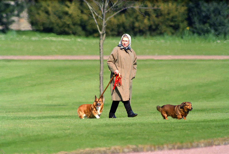 Queen Elizabeth II | Getty Images Photo by Julian Parker/UK Press