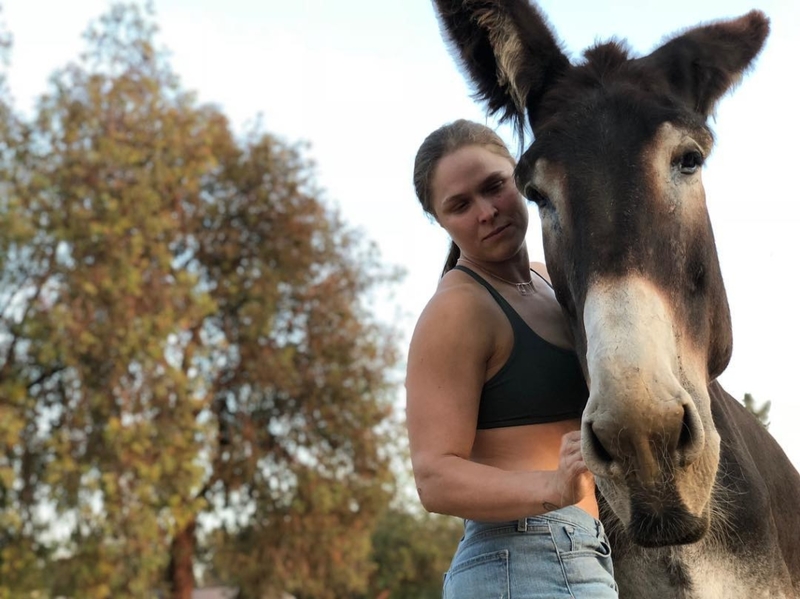 The Animal Instinct | Instagram/@rondarousey