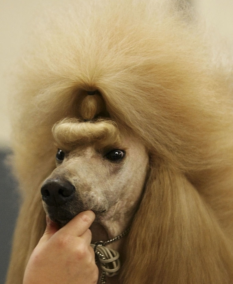 Big Hair, Don't Care | Getty Images Photo by Chris McGrath