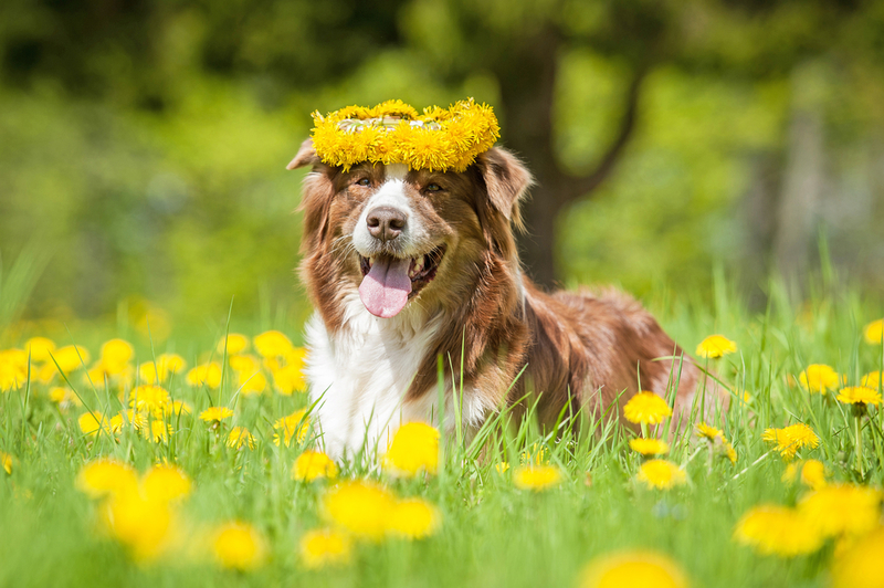 A Free Spirit | Rita_Kochmarjova/Shutterstock