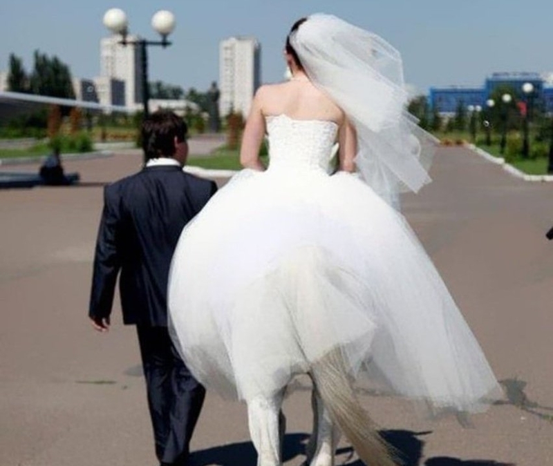 The Centaur Bride | Imgur.com/EmiY5