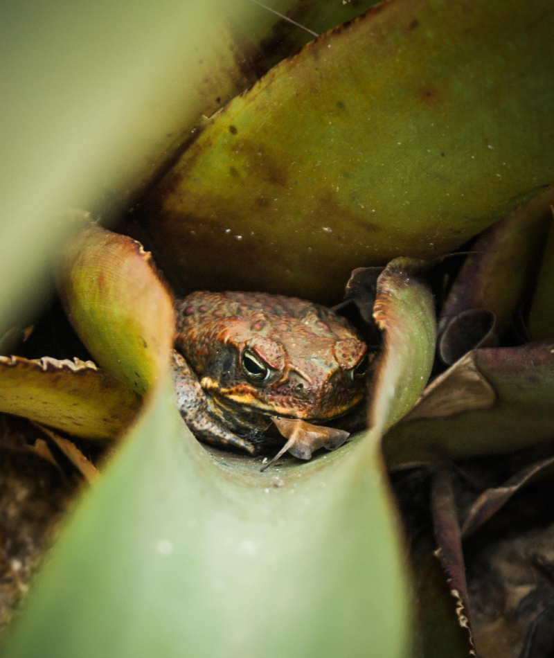 Taking Shelter From the Storm | Alamy Stock Photo by Freddy Zapata