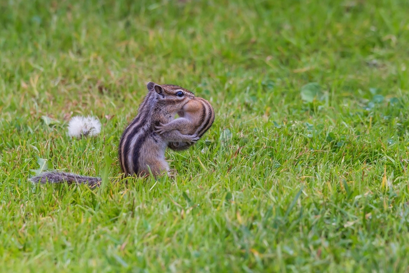 Someone's Gotta Carry the Baby | Alamy Stock Photo by Andrew Berezovsky