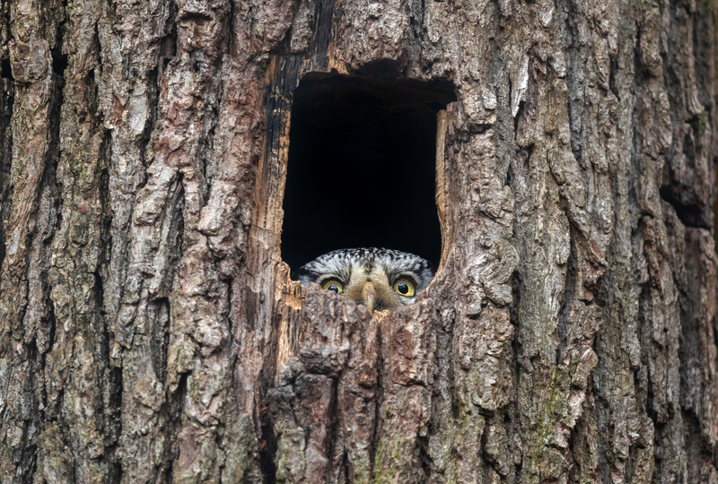 I Said No Soliciting! | Getty Images Photo by Andyworks