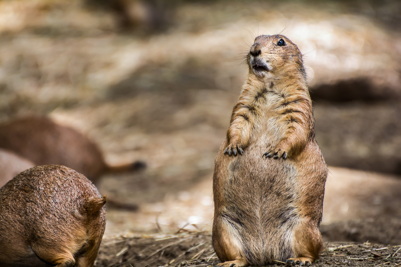 She Did What?! | Getty Images Photo by JasonOndreicka