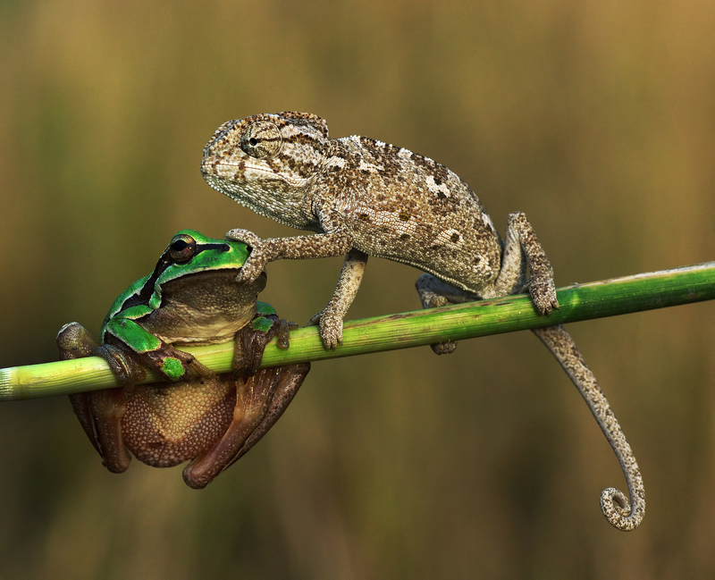 The Talking Is Done Now | Getty Images Photo by sasener