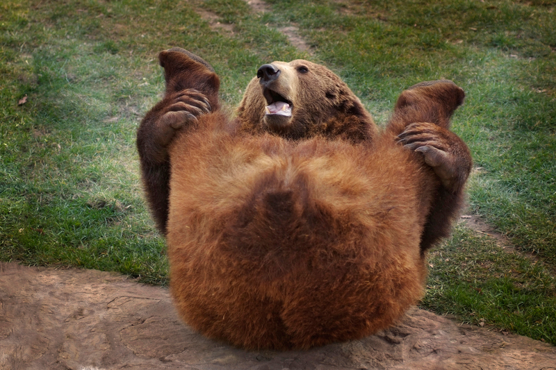 It's Called Yoga, You Uncultured Swine | Alamy Stock Photo by imageBROKER GmbH & Co. KG/Andre´ Skonieczny