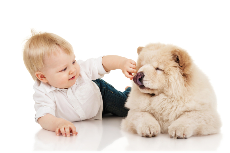 Mutual Curiosity | Shutterstock