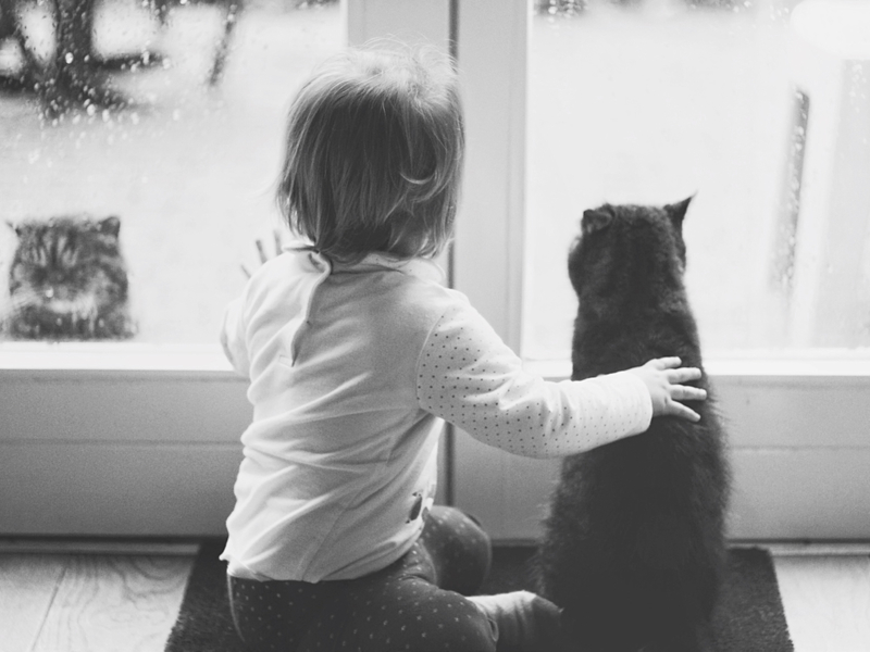 Two Curious Cats | Getty Images Photo by Sjoukje Postma/EyeEm