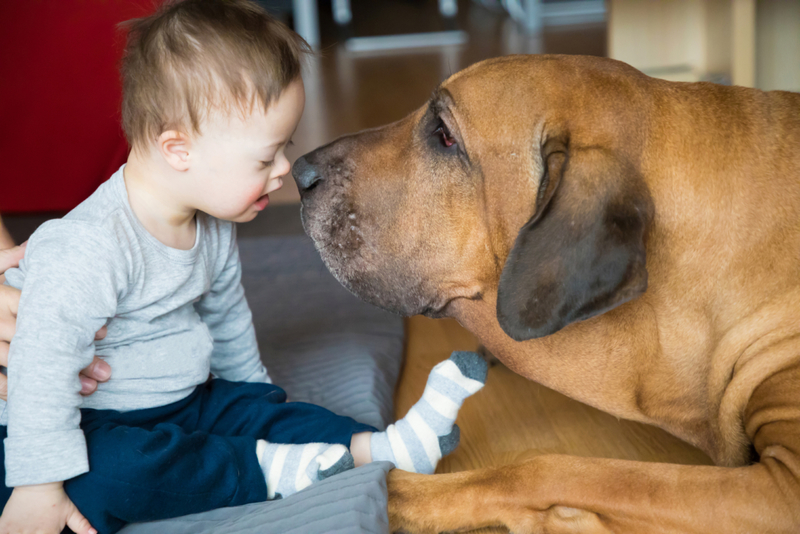 Sizing Each Other Up | Getty Images Photo by Tatiana Dyuvbanova