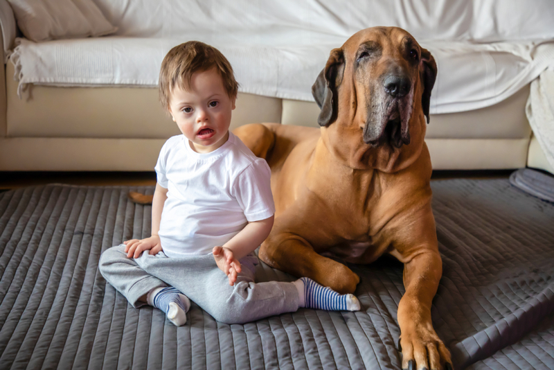 A Furry Couch Indeed | Shutterstock