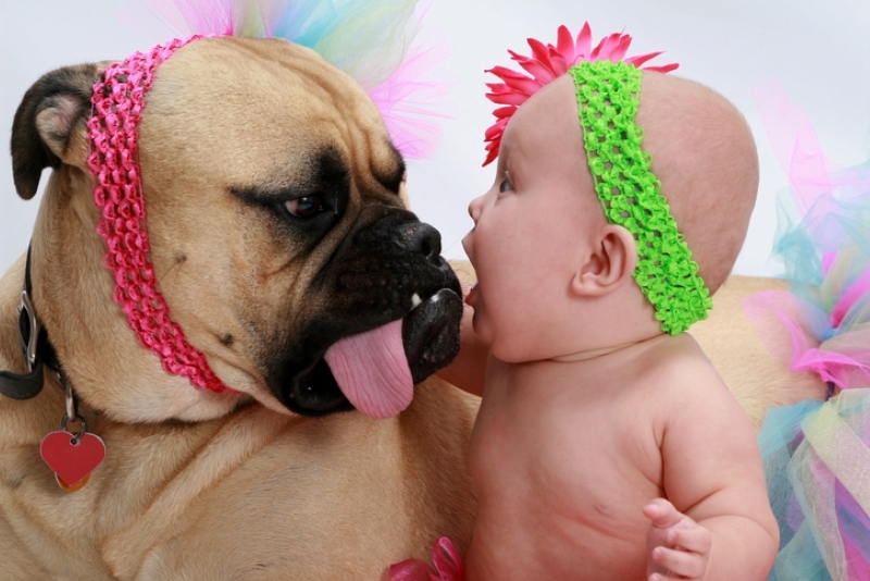 Dress Up Buddies | Getty Images Photo by PTSO lathe