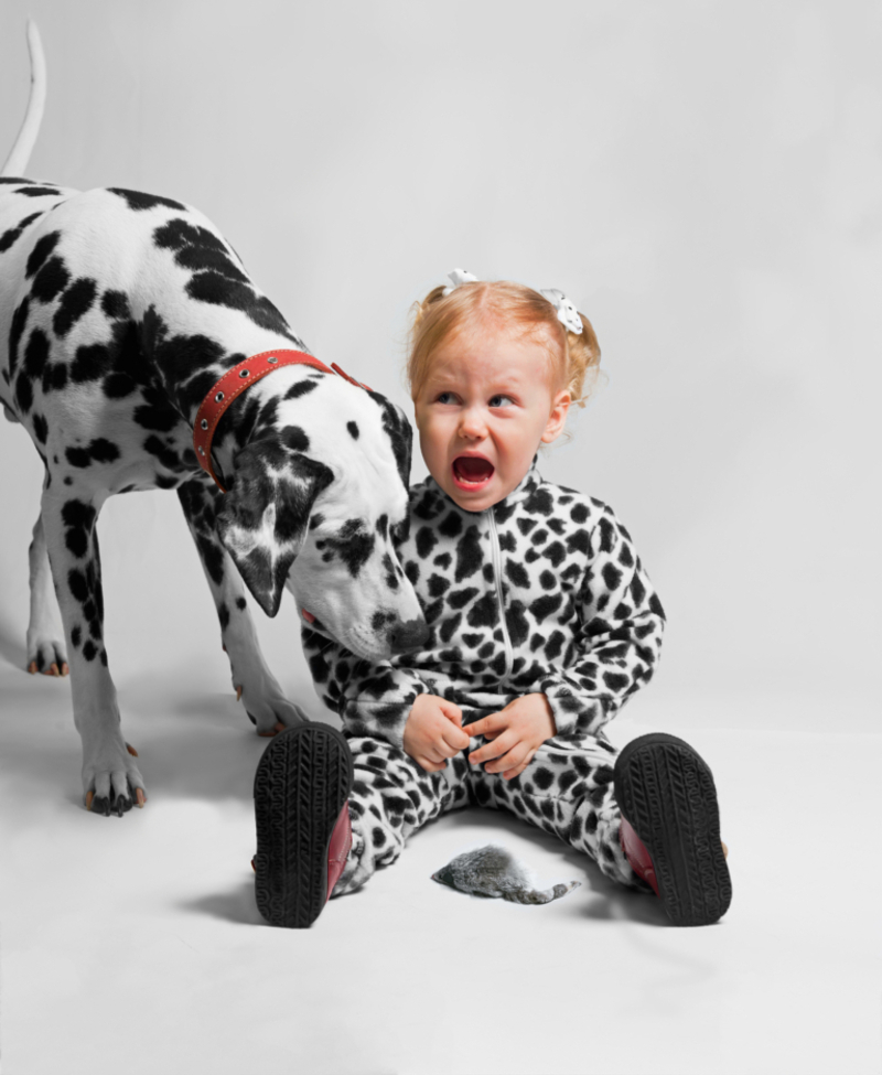 The Disguise Has Him Fooled | Shutterstock