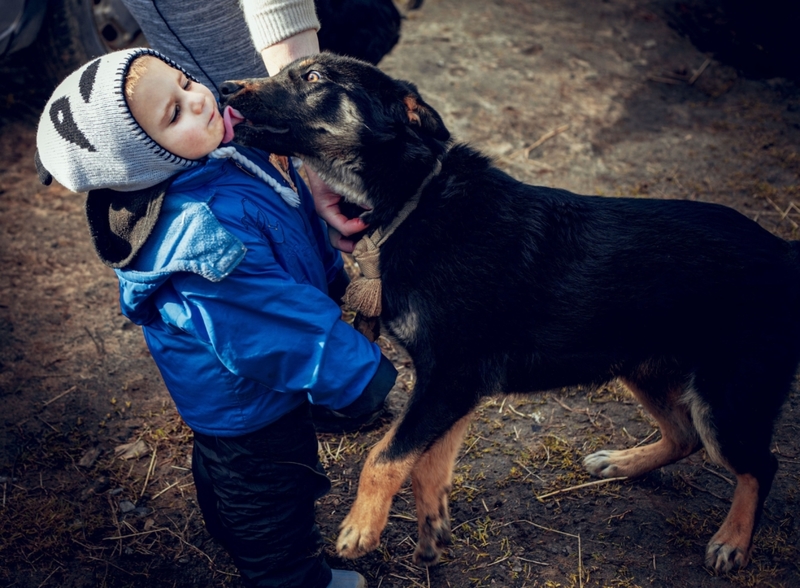 Puppy and Baby Besties | Alamy Stock Photo