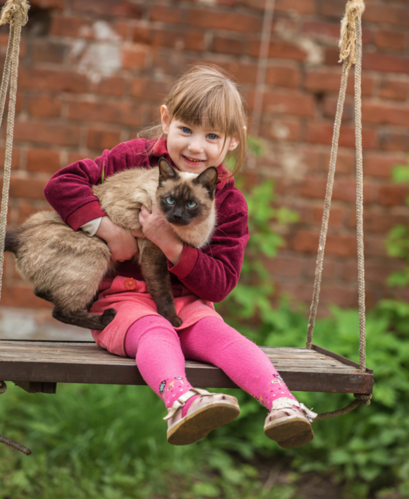 Swing Buddies | Shutterstock