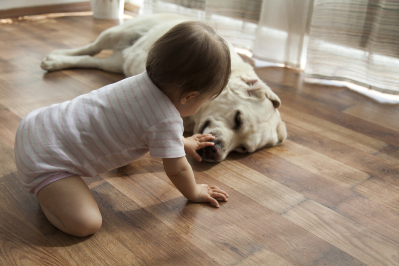 Patient Playmate | Getty Images Photo by Daniela Jovanovska-Hristovska