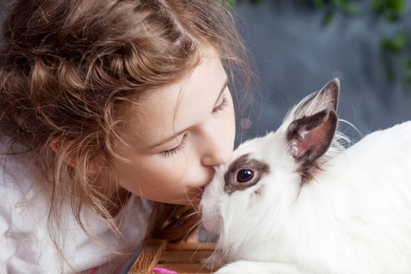 Bunny Gets A Kiss | Shutterstock