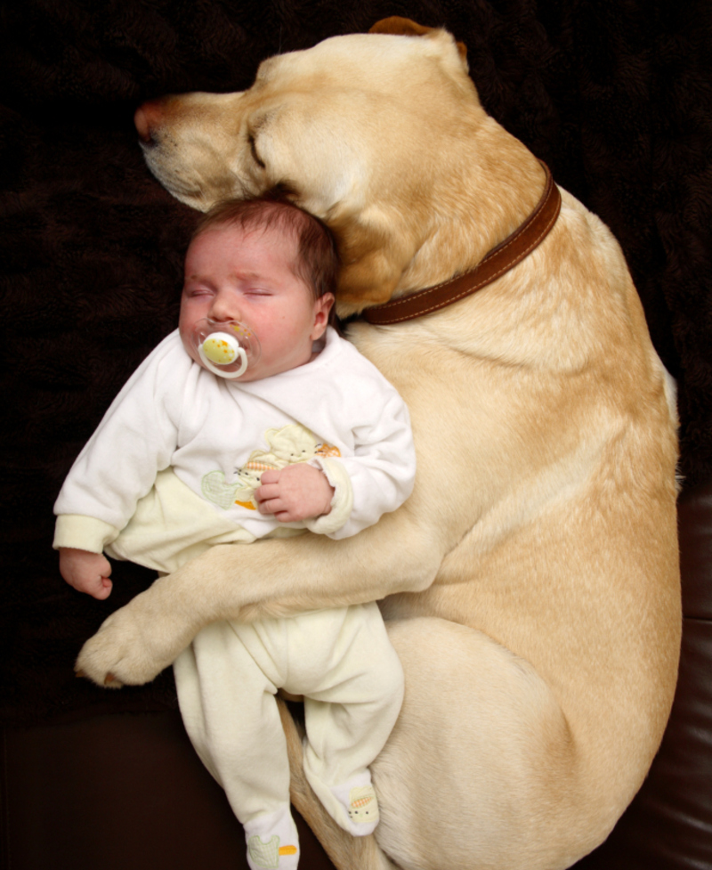 The Loving Protector | Getty Images Photo by Emma Innocenti