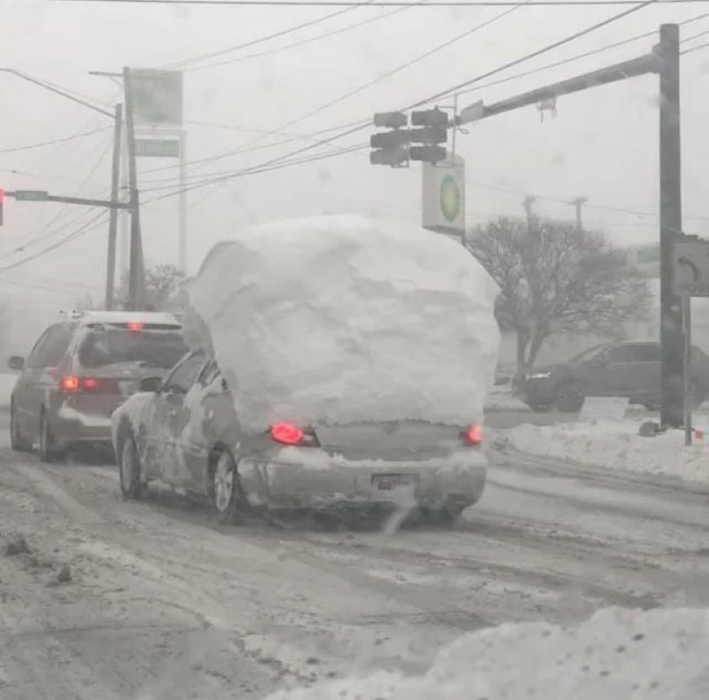 Snow Overload | Reddit.com/Anonymous