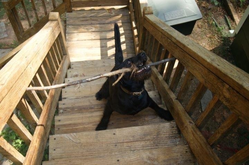 This Stick is Mine | Imgur.com/oYi7x