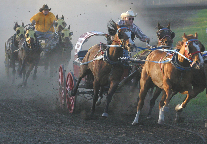 Chuckwagon Racing | Shutterstock Photo by Jack Dagley Photography