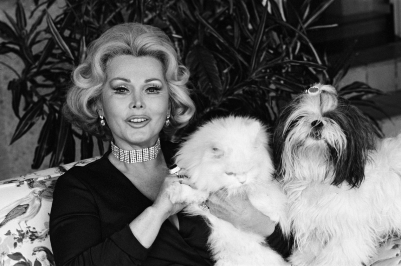 Zsa Zsa Gabor | Alamy Stock Photo