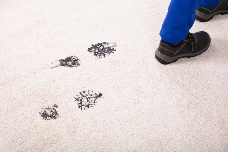 Walking Inside With Shoes on | Shutterstock