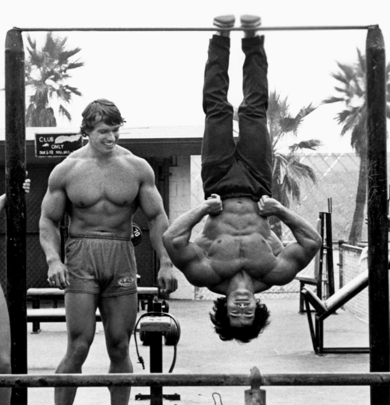 Schwarzenegger and Franco Columbu | Alamy Stock Photo by AF archive