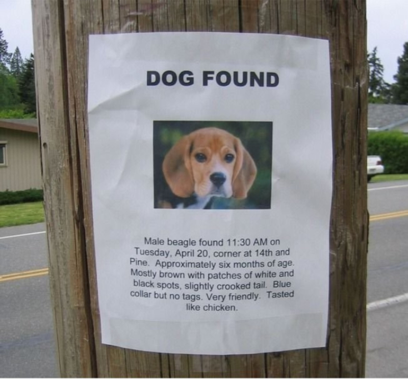 Funny Lost and Found Signs That Are Worth Stopping For – Page 15 ...