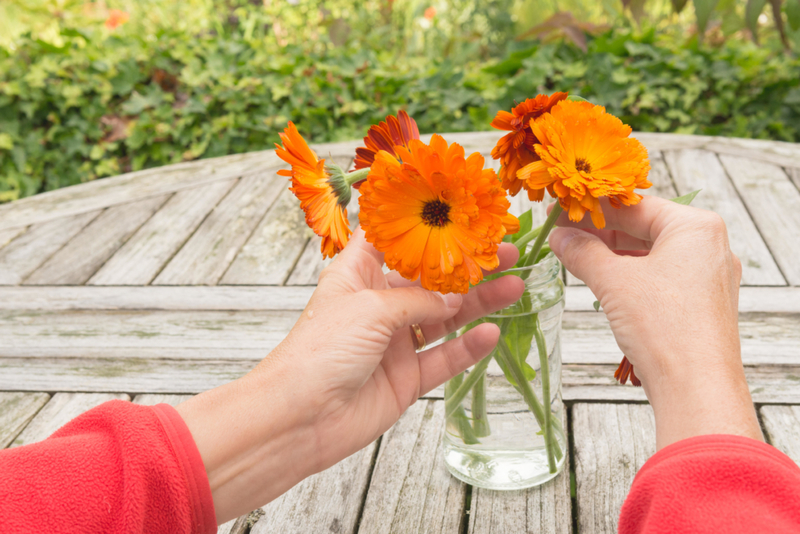 Preserve Fresh Flowers | Alamy Stock Photo by Kay Roxby