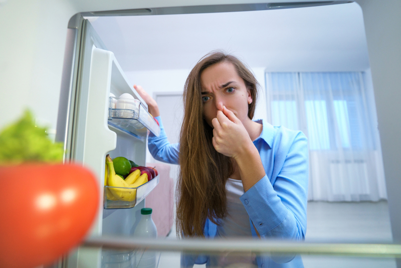 Refresh the Refrigerator | goffkein.pro/Shutterstock