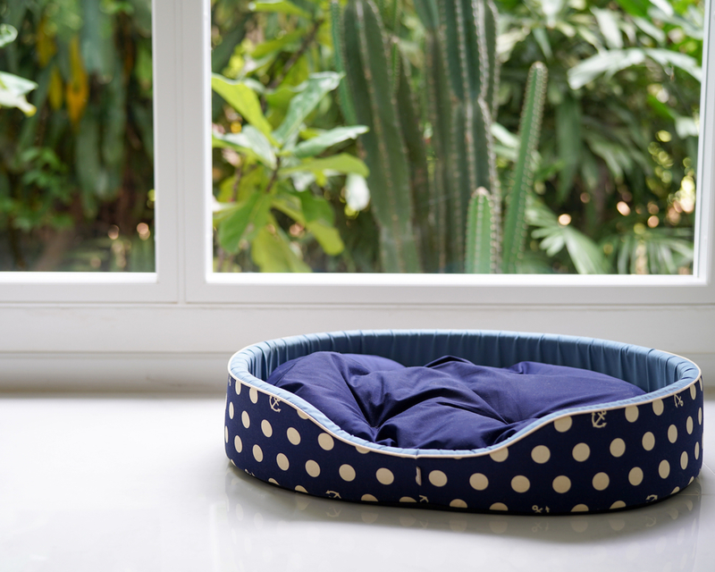 Deodorize a Pet Bed | Jareerat/Shutterstock