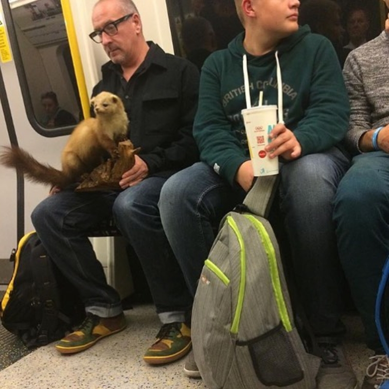 It Was a Gift, Okay? | Instagram/@subwaycreatures