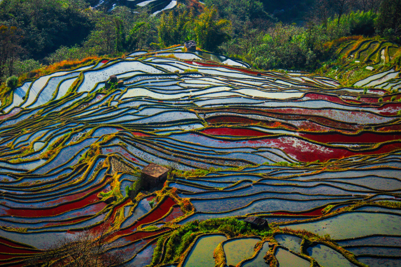 We Can’t Believe Those Are Not Stained Glass! | Shutterstock