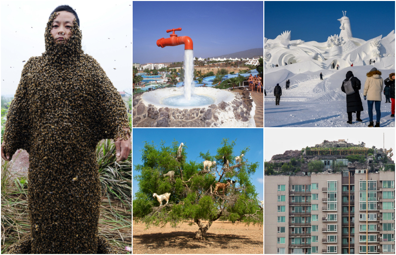 More Incredible Photographs That Are Completely Unedited | Alamy Stock Photo & Getty Images Photo by aerostato & Simon Song/South China Morning Post