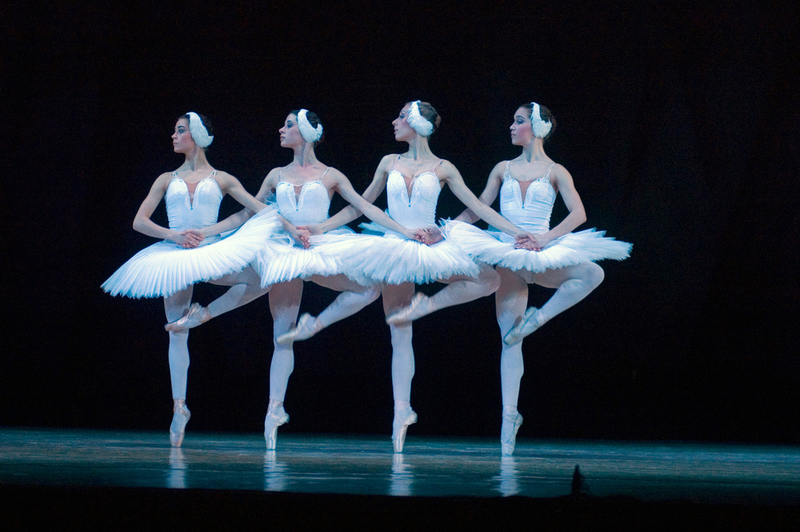 The Swan Lake Story | Shutterstock