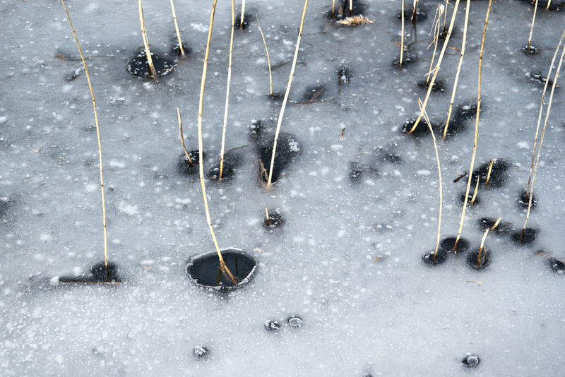 Signs of Alien Visitors? | Shutterstock