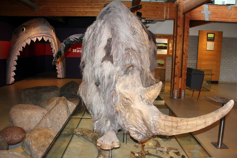 The Woolly Rhino | Alamy Stock Photo by Sabena Jane Blackbird