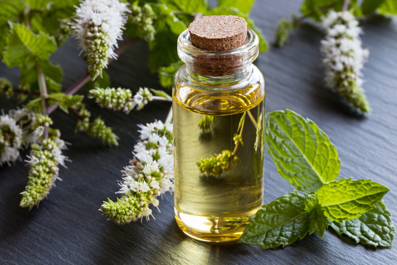 Clean With Essential Oils | Shutterstock Photo by Madeleine Steinbach