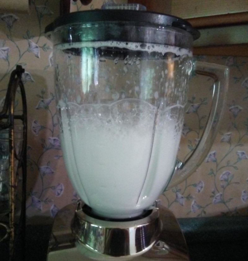 Throw Dishwashing Liquid into Your Blender | Imgur.com/T7cQb2m