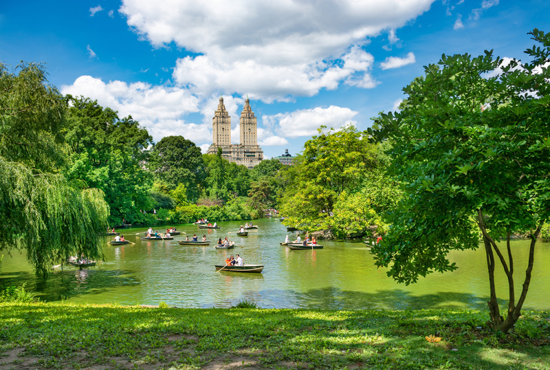 New York, USA | Shutterstock