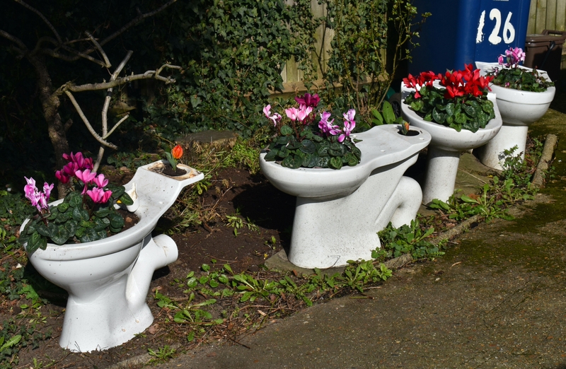 Toilet Driveway | Alamy Stock Photo by Rusana Krasteva