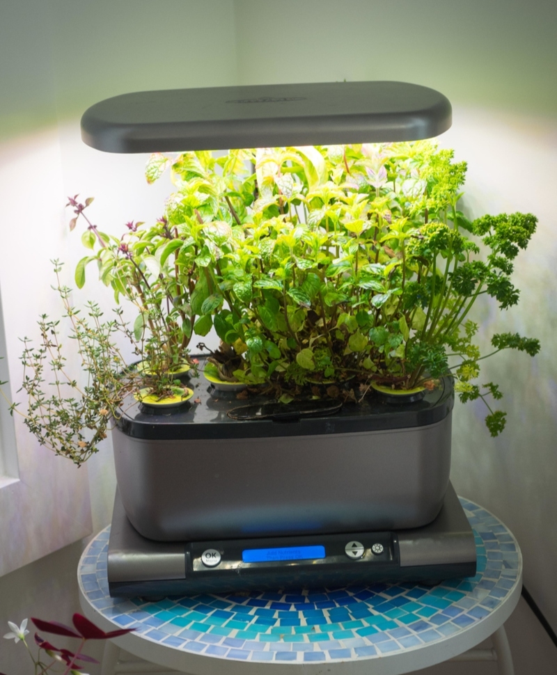 Harvest 360 Indoor Garden | Alamy Stock Photo